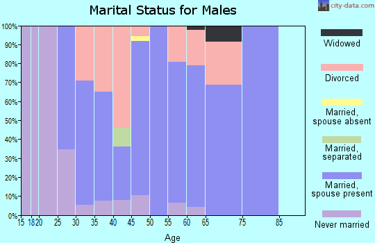 Zip code 63769 marital status for males