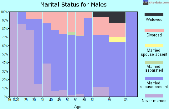 Zip code 63771 marital status for males