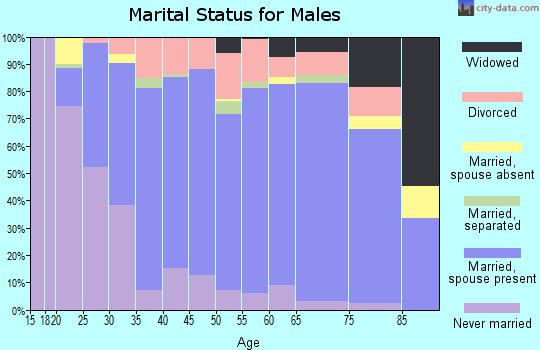 Zip code 63775 marital status for males
