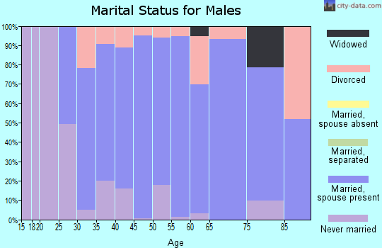 Zip code 63780 marital status for males