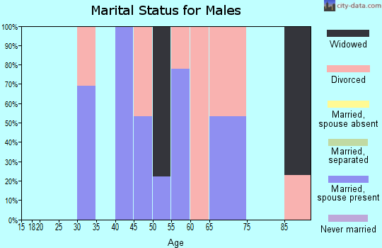 Zip code 63782 marital status for males
