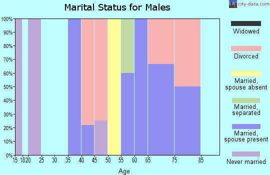 Zip code 63784 marital status for males