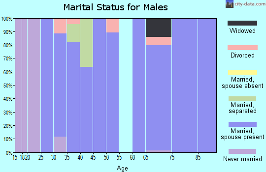 Zip code 63785 marital status for males