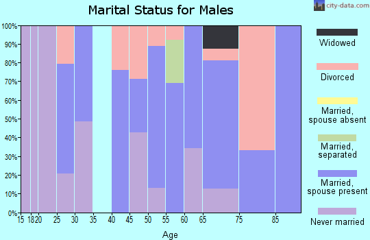 Zip code 63787 marital status for males