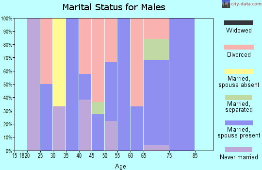 Zip code 63820 marital status for males