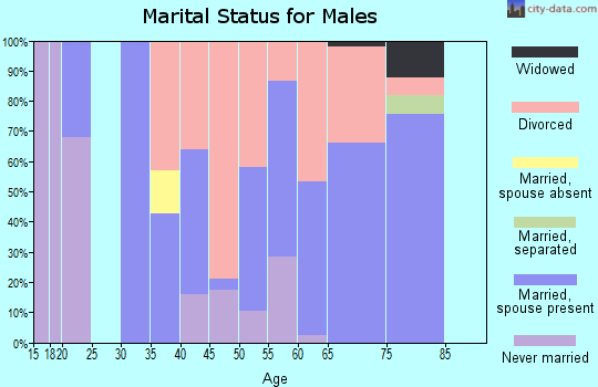 Zip code 63821 marital status for males