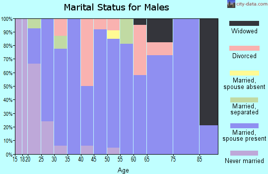 Zip code 63822 marital status for males