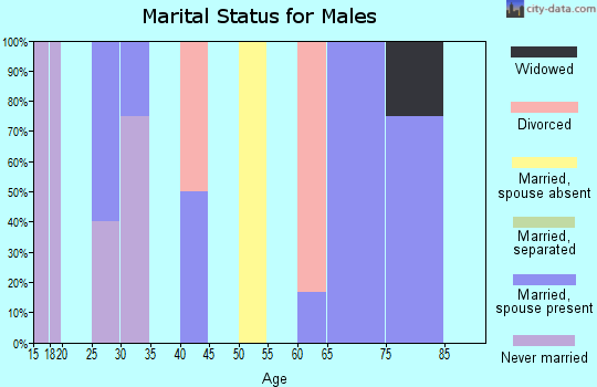 Zip code 63824 marital status for males
