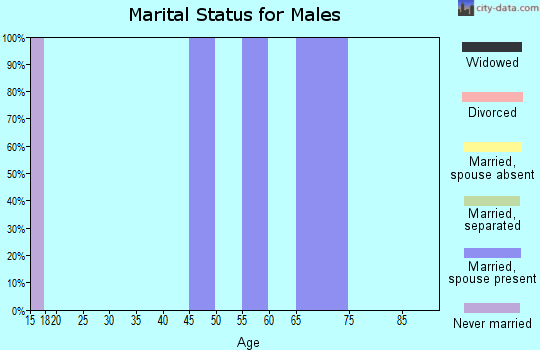 Zip code 63826 marital status for males