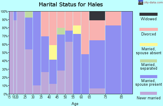Zip code 63829 marital status for males