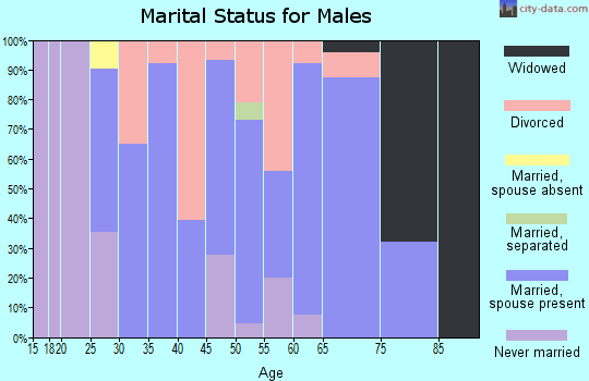 Zip code 63837 marital status for males