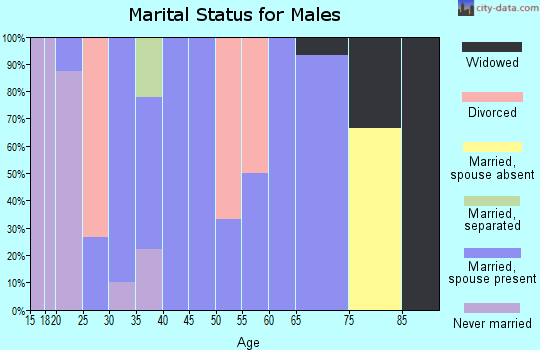 Zip code 63839 marital status for males