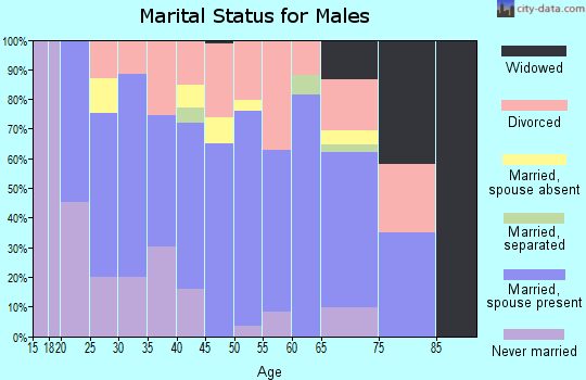 Zip code 63845 marital status for males
