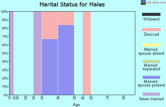 Zip code 63850 marital status for males