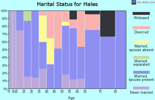 Zip code 63852 marital status for males