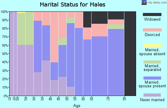 Zip code 63855 marital status for males