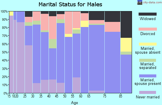 Zip code 63857 marital status for males