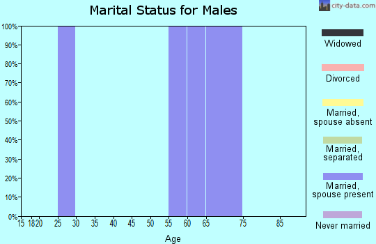 Zip code 63860 marital status for males