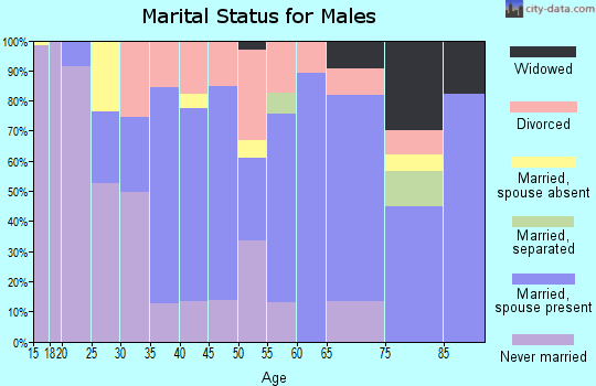 Zip code 63863 marital status for males