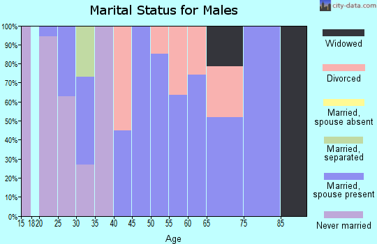 Zip code 63867 marital status for males