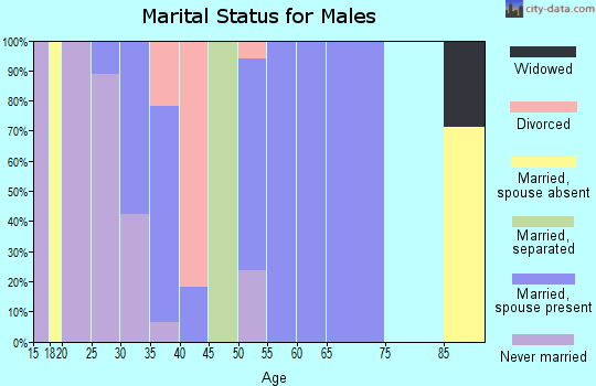 Zip code 63868 marital status for males