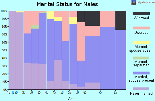 Zip code 63869 marital status for males