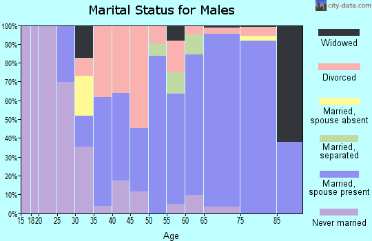 Zip code 63873 marital status for males