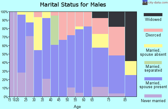 Zip code 63876 marital status for males