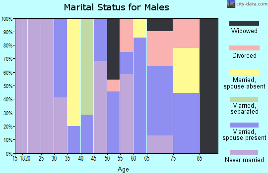 Zip code 63882 marital status for males