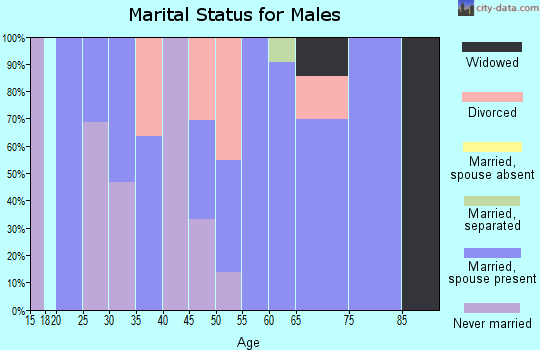 Zip code 63932 marital status for males