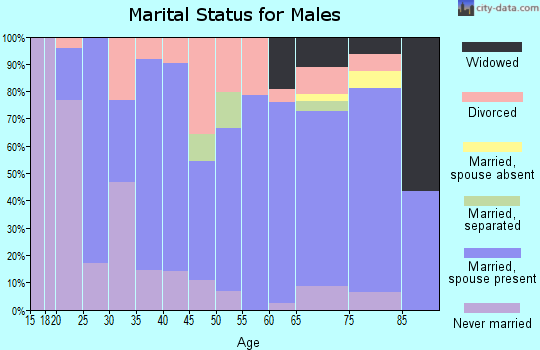 Zip code 63933 marital status for males