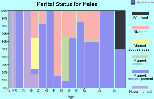 Zip code 63936 marital status for males