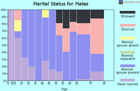 Zip code 63937 marital status for males