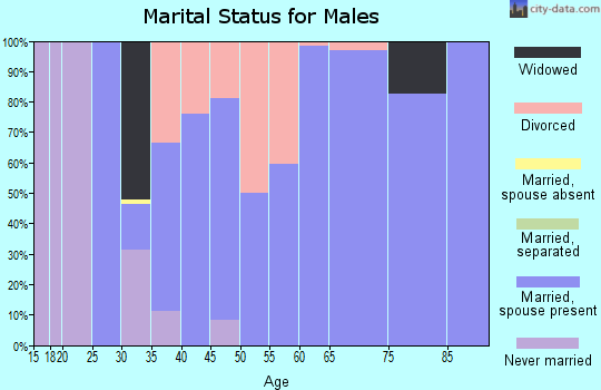 Zip code 63940 marital status for males