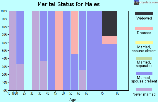 Zip code 63952 marital status for males