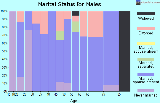 Zip code 63953 marital status for males