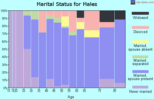 Zip code 63960 marital status for males