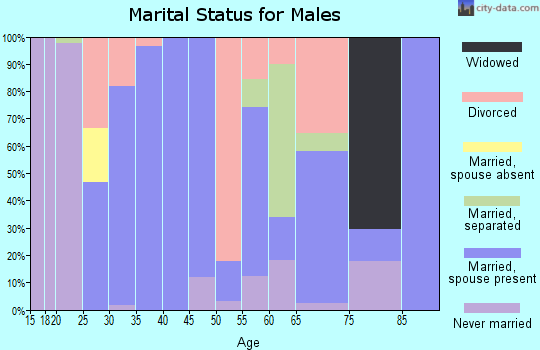 Zip code 63961 marital status for males