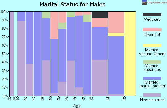 Zip code 63965 marital status for males