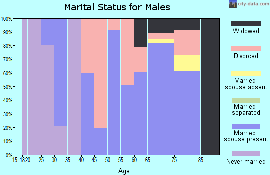 Zip code 63966 marital status for males