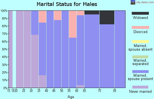 Zip code 64001 marital status for males