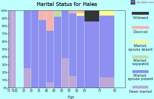 Zip code 64017 marital status for males