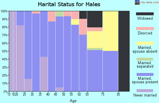 Zip code 64018 marital status for males