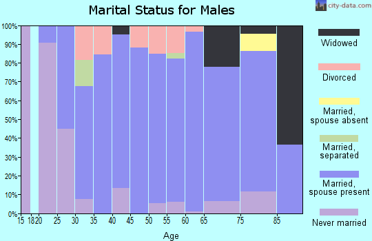 Zip code 64020 marital status for males