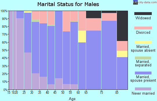 Zip code 64029 marital status for males