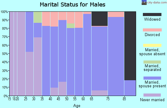 Zip code 64048 marital status for males