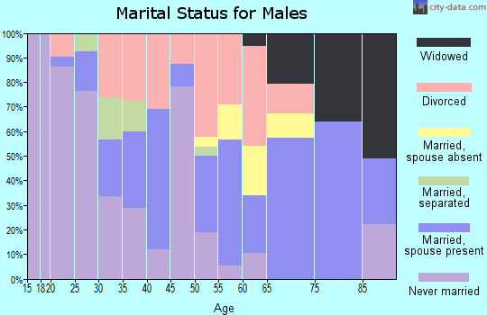 Zip code 64053 marital status for males