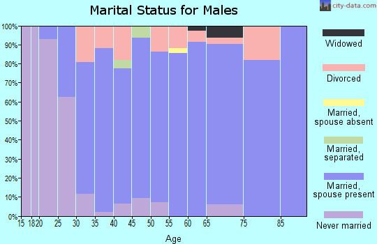 Zip code 64060 marital status for males