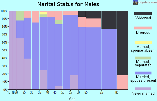 Zip code 64062 marital status for males