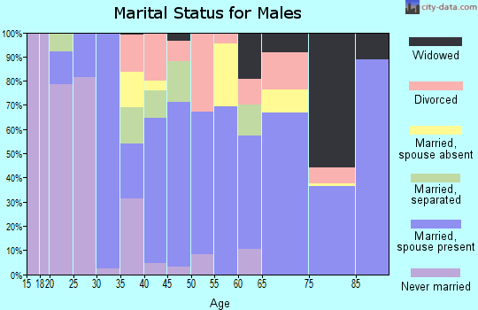 Zip code 64067 marital status for males